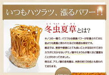 画像をギャラリービューアに読み込む, 冬虫夏草