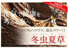 画像をギャラリービューアに読み込む, 冬虫夏草