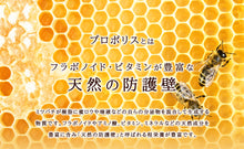 画像をギャラリービューアに読み込む, プロポリス