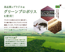 画像をギャラリービューアに読み込む, プロポリス