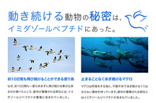 画像をギャラリービューアに読み込む, イミダゾールジペプチド