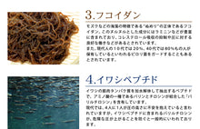 画像をギャラリービューアに読み込む, 海のチカラ