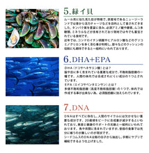 画像をギャラリービューアに読み込む, 海のチカラ