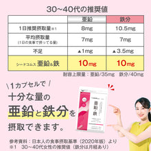 画像をギャラリービューアに読み込む, 亜鉛&鉄