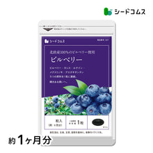 画像をギャラリービューアに読み込む, ビルベリー