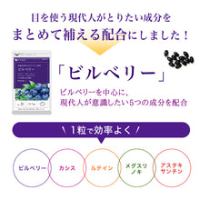 画像をギャラリービューアに読み込む, ビルベリー