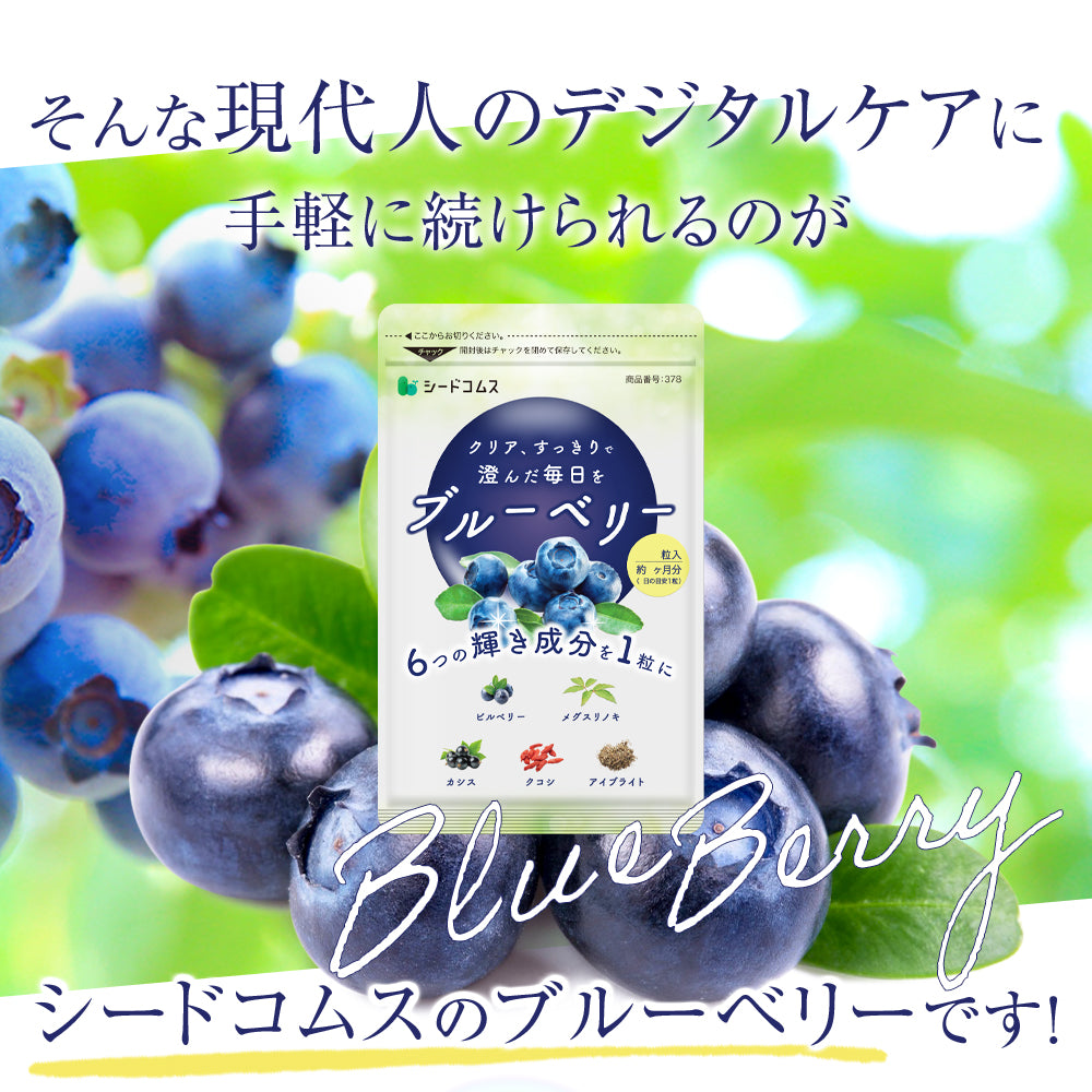 ブルーベリーエキス 6袋（約6ヶ月分） - 植物性エキス
