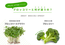 画像をギャラリービューアに読み込む, ブロッコリースプラウト