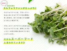 画像をギャラリービューアに読み込む, ブロッコリースプラウト