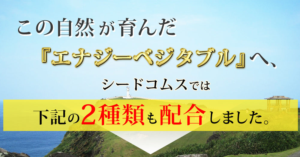 長命草(フコイダン・クロレラ入)ソフトカプセルタイプ