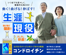 画像をギャラリービューアに読み込む, コンドロイチン