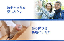 画像をギャラリービューアに読み込む, コンドロイチン