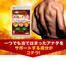 画像をギャラリービューアに読み込む, 大地のチカラ