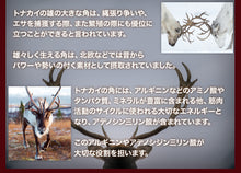 画像をギャラリービューアに読み込む, 大地のチカラ