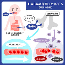 画像をギャラリービューアに読み込む, 血圧 睡眠 ストレス GABA