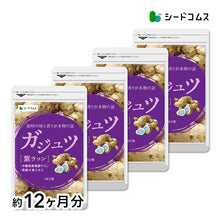 画像をギャラリービューアに読み込む, ガジュツ