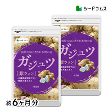 画像をギャラリービューアに読み込む, ガジュツ