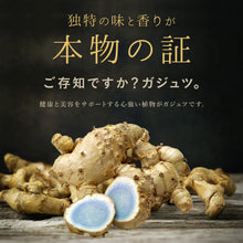 画像をギャラリービューアに読み込む, ガジュツ