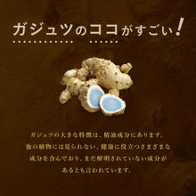 画像をギャラリービューアに読み込む, ガジュツ