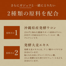 画像をギャラリービューアに読み込む, ガジュツ