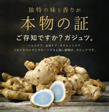 画像をギャラリービューアに読み込む, ガジュツ