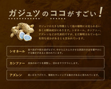 画像をギャラリービューアに読み込む, ガジュツ