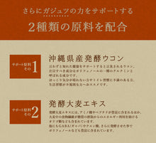 画像をギャラリービューアに読み込む, ガジュツ