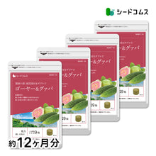 画像をギャラリービューアに読み込む, ゴーヤー&グァバ