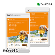 画像をギャラリービューアに読み込む, 蜂の子