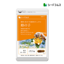 画像をギャラリービューアに読み込む, 蜂の子