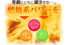 画像をギャラリービューアに読み込む, コエンザイムQ10 α-リポ酸 L-カルニチン+葉酸