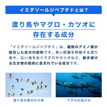 画像をギャラリービューアに読み込む, イミダゾールジペプチド