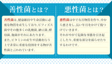 画像をギャラリービューアに読み込む, 菌のチカラ