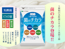 画像をギャラリービューアに読み込む, 菌のチカラ