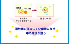 画像をギャラリービューアに読み込む, 菌のチカラ