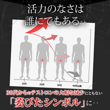 画像をギャラリービューアに読み込む, キングパワー