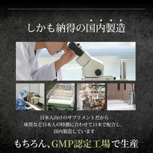 画像をギャラリービューアに読み込む, キングパワー