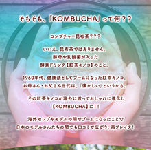 画像をギャラリービューアに読み込む, コンブチャ