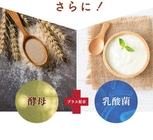 画像をギャラリービューアに読み込む, コンブチャ