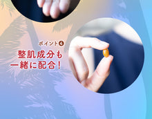 画像をギャラリービューアに読み込む, コンブチャ