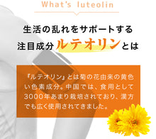 画像をギャラリービューアに読み込む, ルテオリン