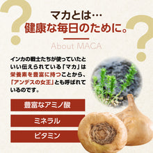 画像をギャラリービューアに読み込む, マカ (MACA)