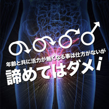 画像をギャラリービューアに読み込む, メンズプロテイン