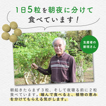 画像をギャラリービューアに読み込む, 沖縄県産モリンガ