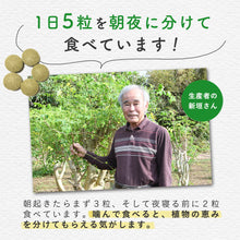 画像をギャラリービューアに読み込む, 沖縄県産モリンガ