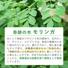 画像をギャラリービューアに読み込む, 沖縄県産モリンガ