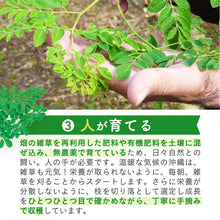 画像をギャラリービューアに読み込む, 沖縄県産モリンガ