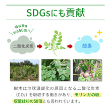 画像をギャラリービューアに読み込む, 沖縄県産モリンガ