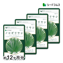 画像をギャラリービューアに読み込む, ノコギリヤシ