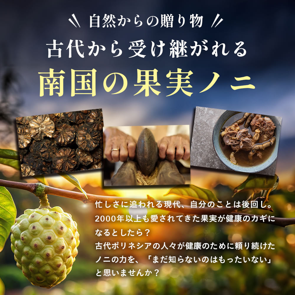 ノニカプセル – シードコムス本店